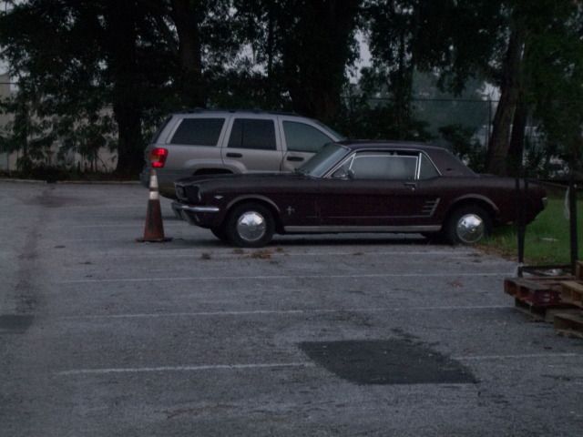 STANG.jpg