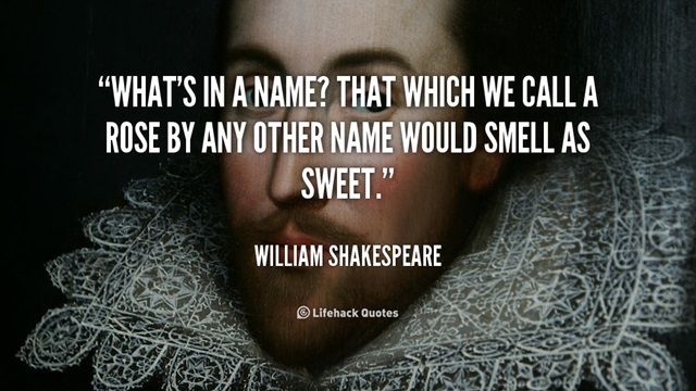  photo quote-William-Shakespeare-whats-in-a-name-that-which-we-101366_zpsazfjmf7m.jpg