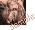  photo LIONSAMPLE.png