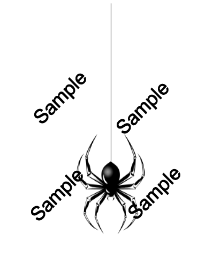  photo Spider Black Widowsample.png