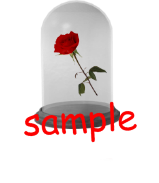  photo stickers_ae1665cc8fdSAMPLE.png