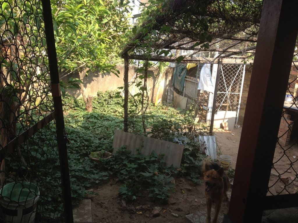 Cho thuê nhà 180m2, giá 6 tr x/tháng ở đường 19- Phạm Văn Đồng (gần cầu Bình Triệu) - 9