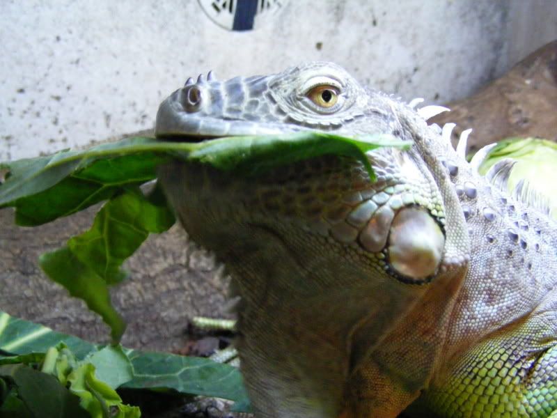 DSCF0133.jpg