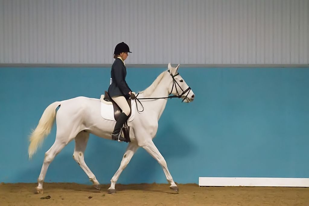 IMAGE: http://i288.photobucket.com/albums/ll177/whoami58/IMG_4859_NW.jpg