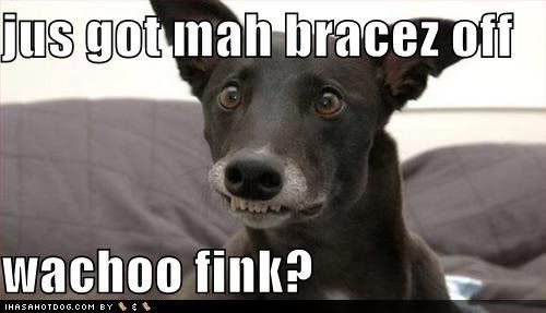 Dog Braces