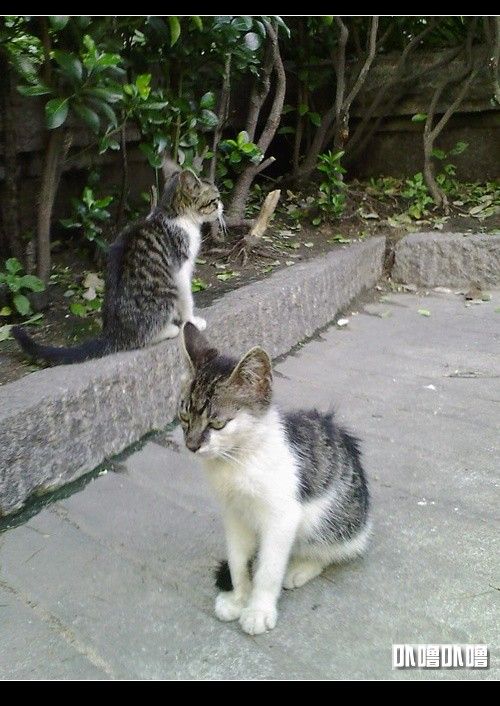 图片点击可在新窗口打开查看