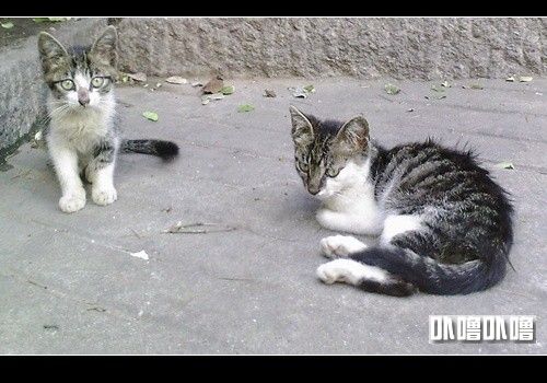 图片点击可在新窗口打开查看