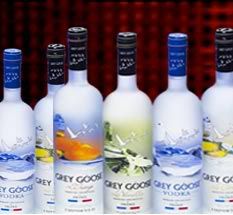 Grey Goose Pictures, Images and Photos
