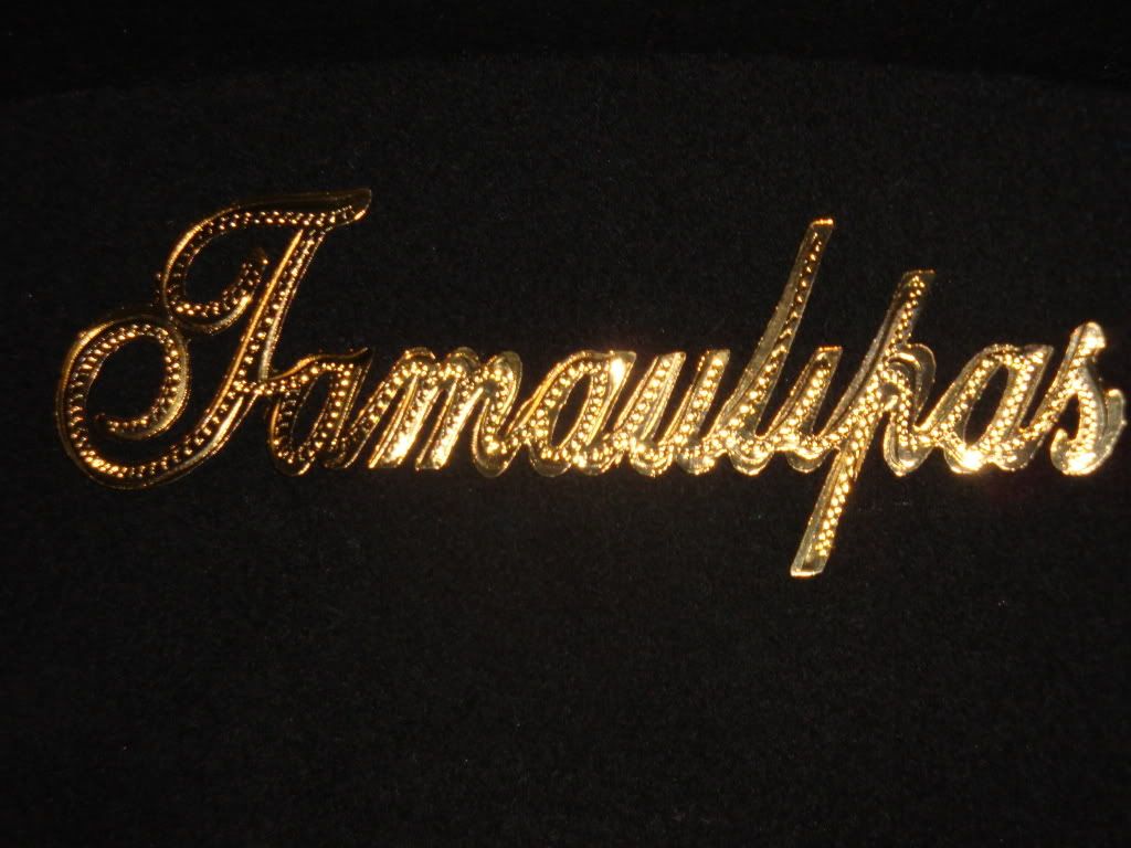 Tamaulipas Logo