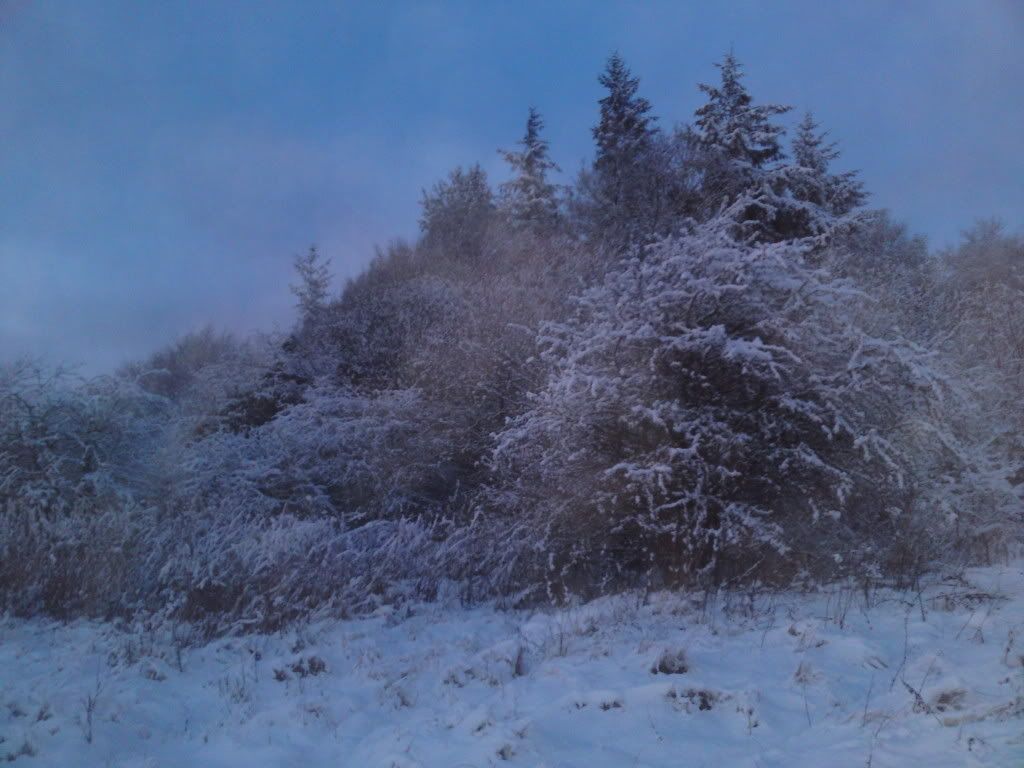 DSC00241.jpg