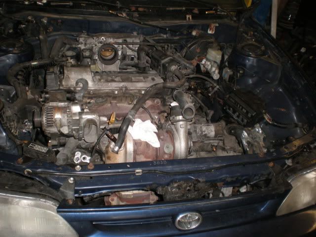 P1010012.jpg
