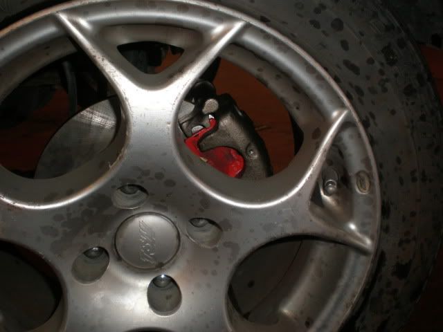 P8030040.jpg