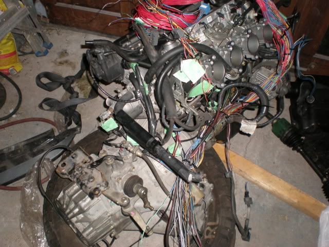 P9300001.jpg