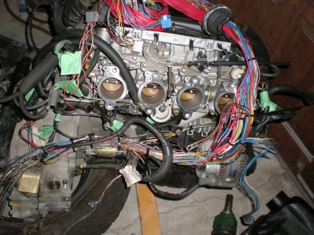 P9300002.jpg