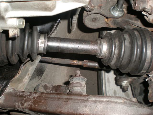 PA200009.jpg