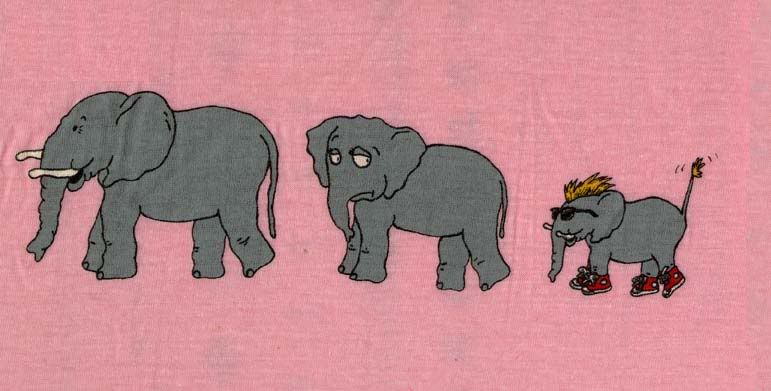 elephants.jpg