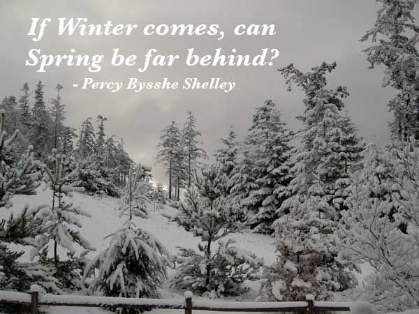 quotes on winter. shelley-winter-spring.jpg