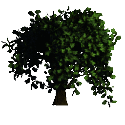 tree_zps38o4um4u.gif
