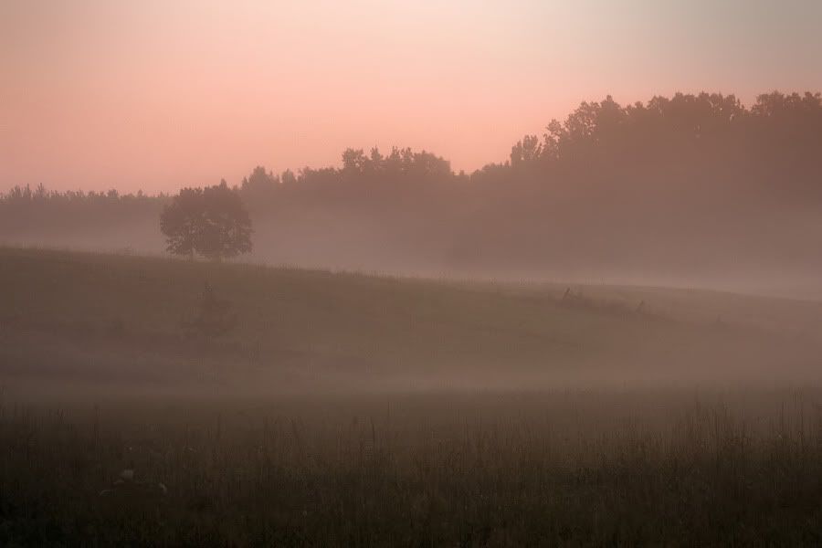 Dołączona grafika