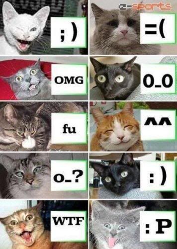 Cat Smileys