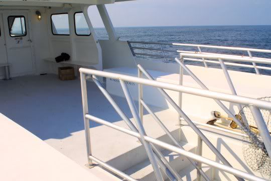 Img_0449.jpg picture by gamblerfishingclub