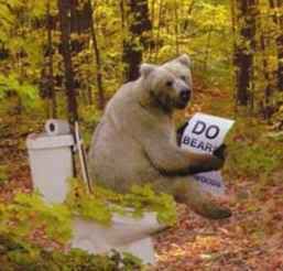 Do bears really