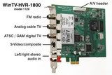 [Image: wintv-hvr-1800_connectors-s.jpg]