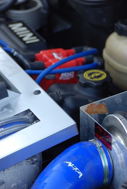 DSC_0652.jpg?t=1216290698