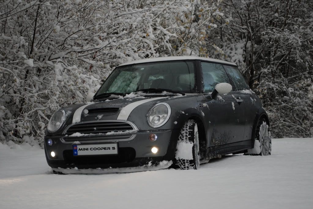 DSC_06522.jpg?t=1234478886