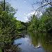 Huron River in Ann Arbor