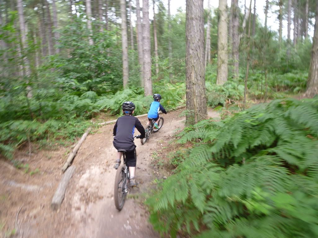 sherwood forest mtb trails