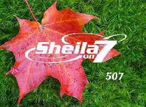 Sheila on 7 - 507
