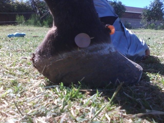 Uploaded from the Photobucket Android App