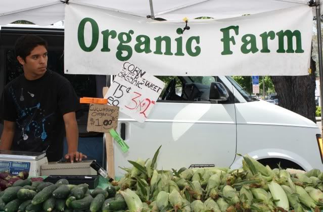 Organic Produce at Oak Park Farmer's Market