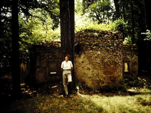 ruiny v arealu na Skalce v lete roku 1987