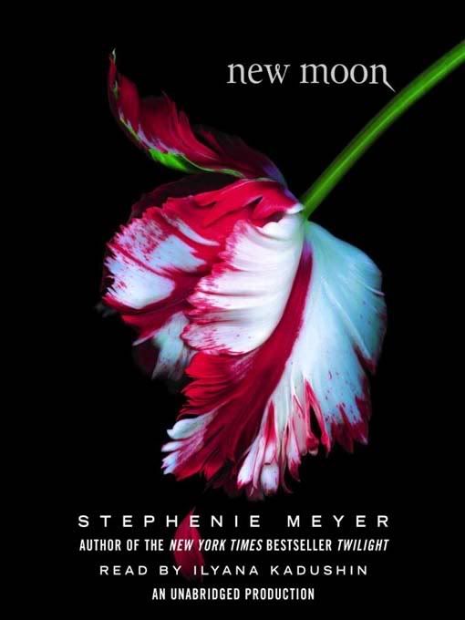 The book: New moon