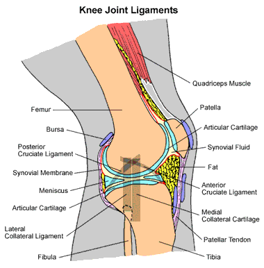 Sakit Sendi Lutut