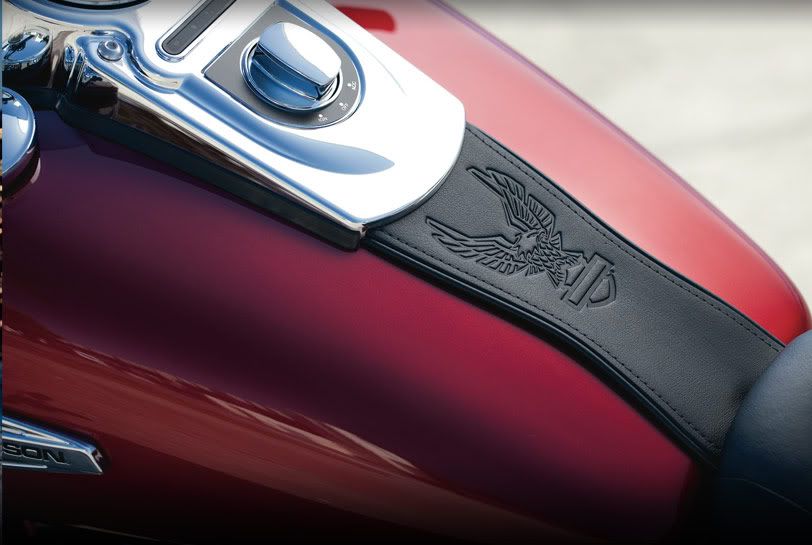 Switchback Dash Panel Extension Harley Davidson Forums Harley