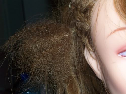 fro5.jpg