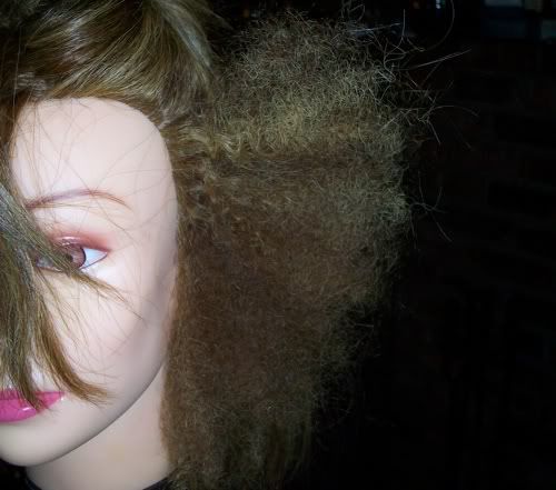 fro6.jpg