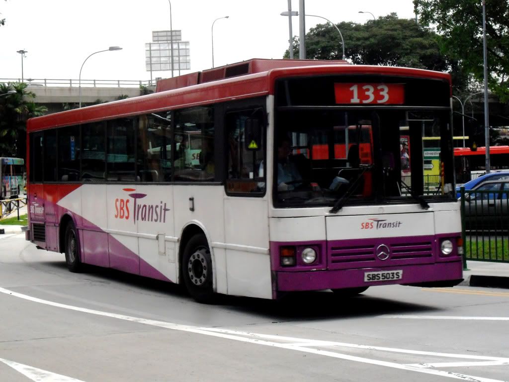 SBS503Son133.jpg