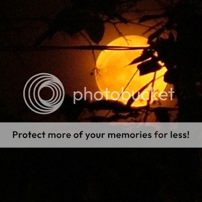 moon Pictures, Images and Photos