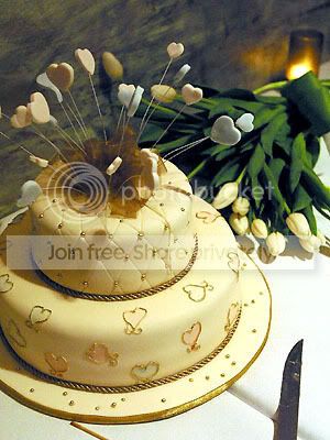 5997-the-wedding-cake.jpg