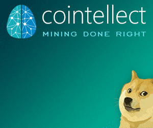 Cointellect Mining