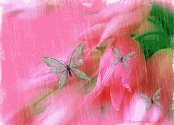 animatedflowersrainl.gif animated flowers &amp; rain.gif image by Placido4