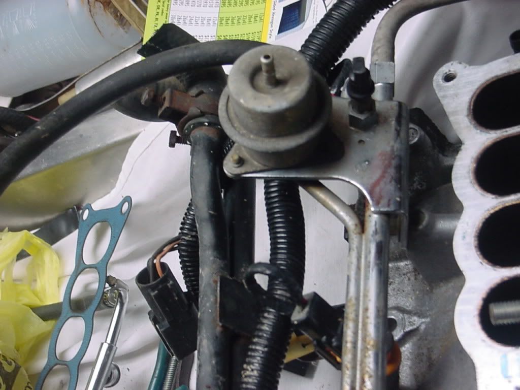 Fox Body Mustang Performance Parts >> Fox body fuel line question - Ford Mustang Forums : Corral ... Fox Body Mustang Performance Parts >> Fox body fuel line question - Ford Mustang Forums : Corral ...