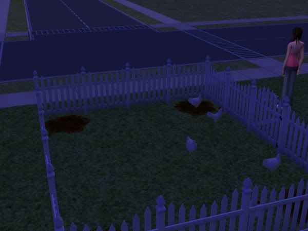 “sims”