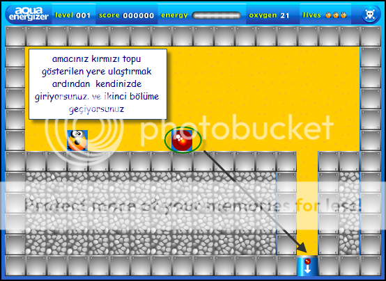 aqua energizer aqua energizer