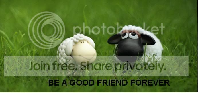 GRASS.jpg