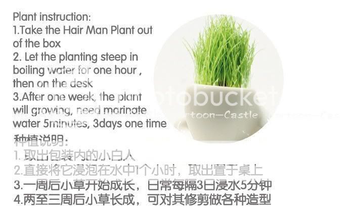 Couple Desktop Table Decor DIY Simple Grass Plant 2158  